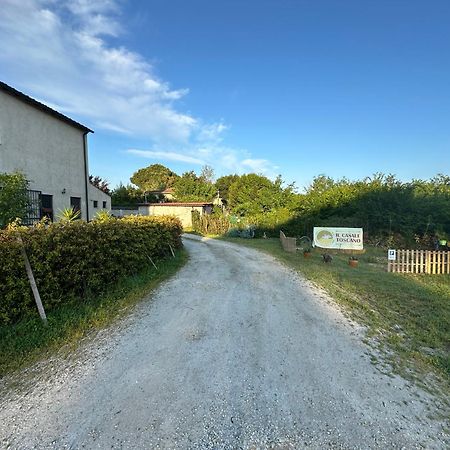 - Il Casale Toscano - 1900Mt From Leaning Tower - No Breakfast - Free Parking - Self Check-In Only From June 15Th Пиза Экстерьер фото